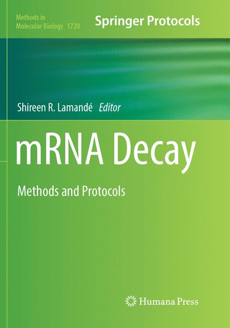 Mrna Decay - image