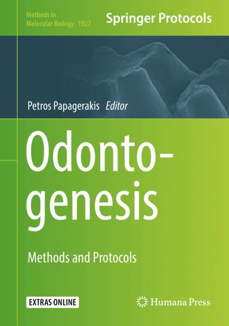 Odontogenesis - image