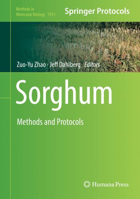 Sorghum - image