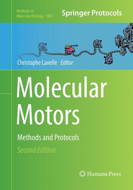 Molecular Motors