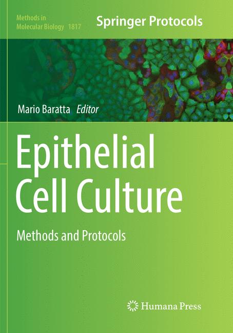 Epithelial Cell Cul… - image