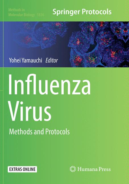Influenza Virus - image