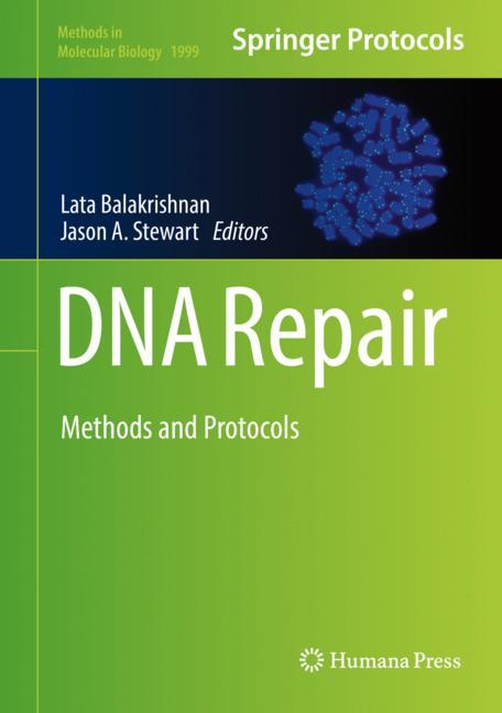 Dna Repair