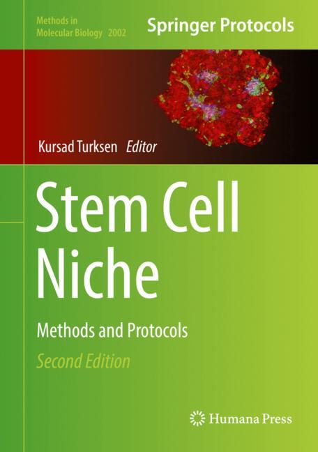 Stem Cell Niche - image
