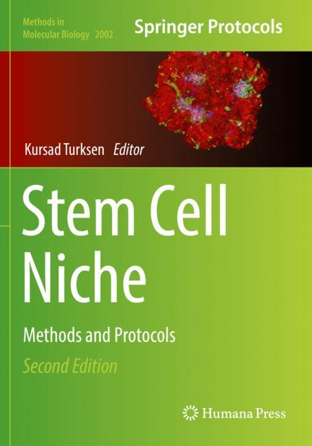 Stem Cell Niche - image