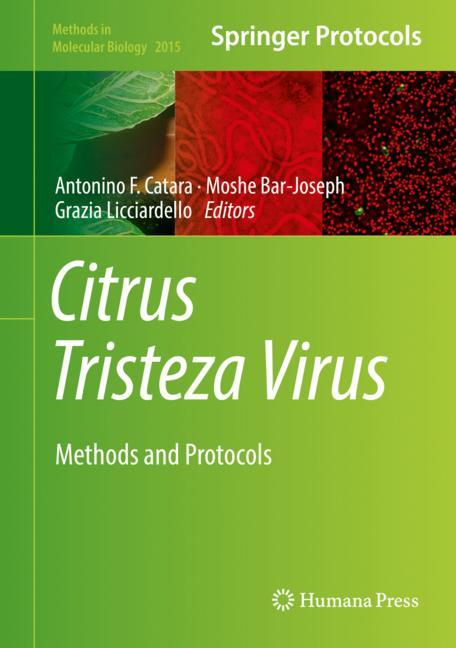 Citrus Tristeza Vir… - image