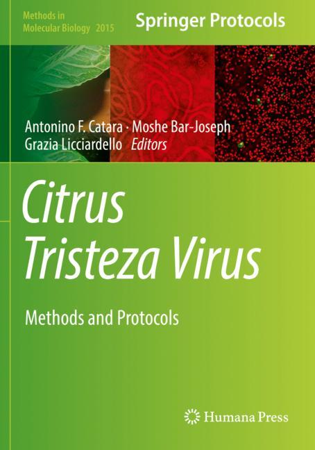 Citrus Tristeza Vir… - image