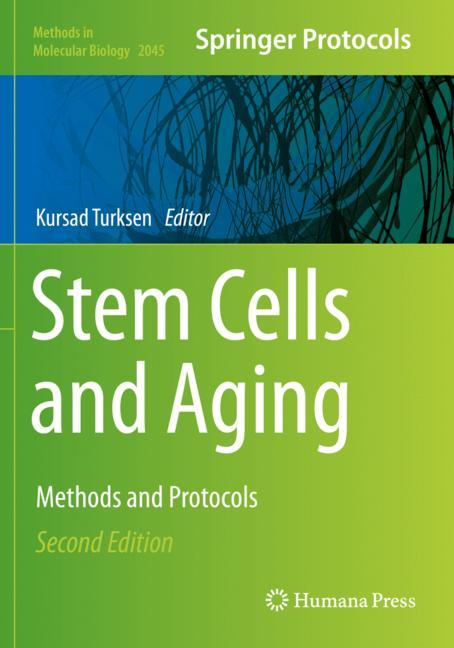 Stem Cells And Aging