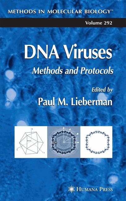 Dna Viruses
