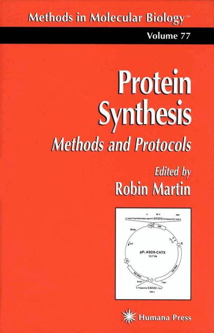 Protein Synthesis - image