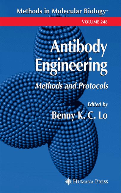 Antibody Engineering