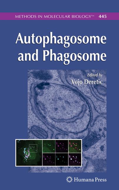 Autophagosome And P… - image
