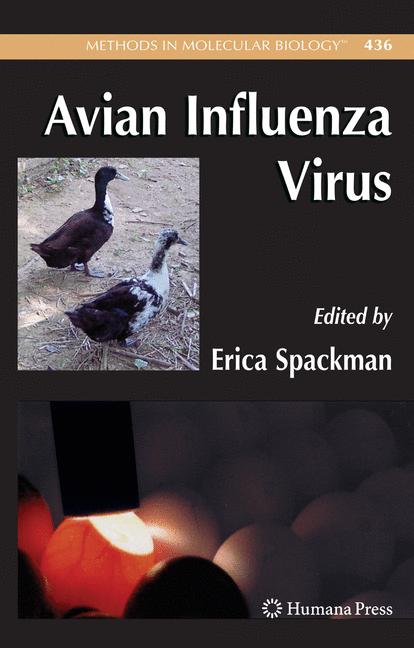 Avian Influenza Vir… - image