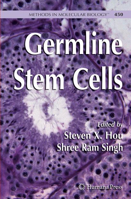 Germline Stem Cells - image
