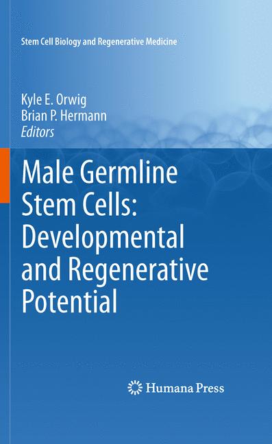 Male Germline Stem …