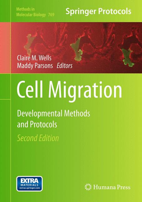 Cell Migration - image