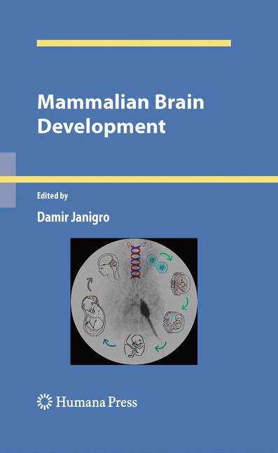 Mammalian Brain Dev…