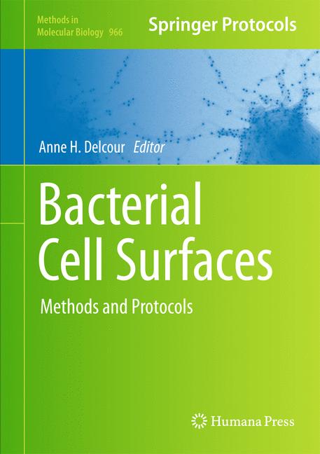 Bacterial Cell Surf… - image