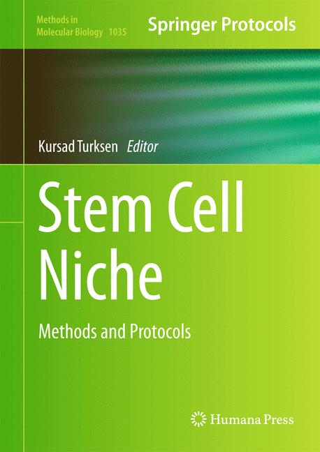Stem Cell Niche - image
