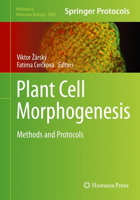 Plant Cell Morphoge… - image