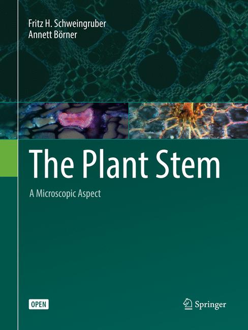 The Plant Stem