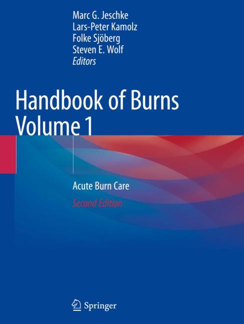 Handbook Of Burns V… - image