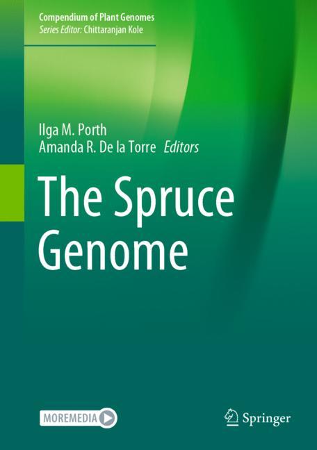The Spruce Genome - image