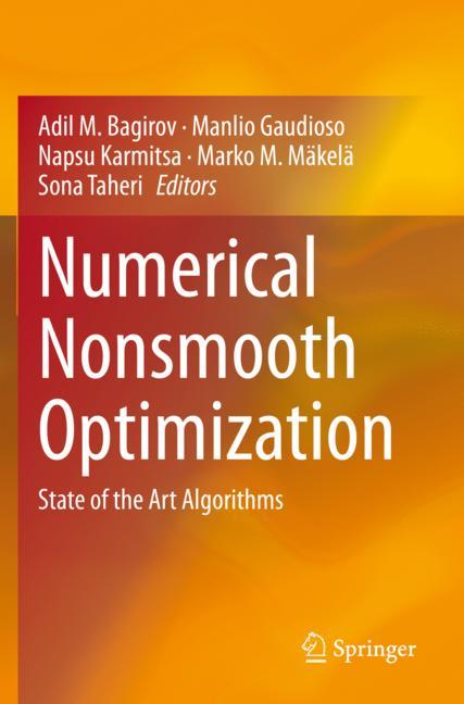 Numerical Nonsmooth Optimization