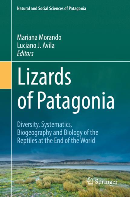 Lizards Of Patagonia - image