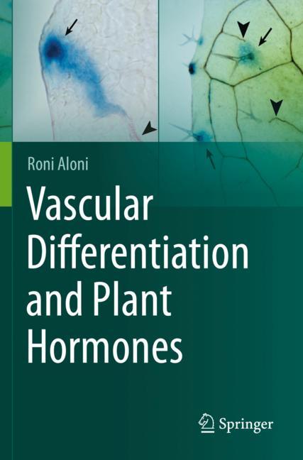 Vascular Differenti…
