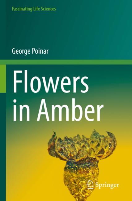 Flowers In Amber