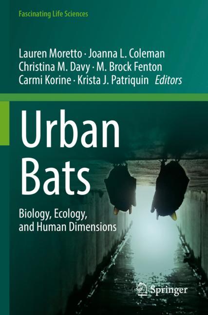 Urban Bats - image