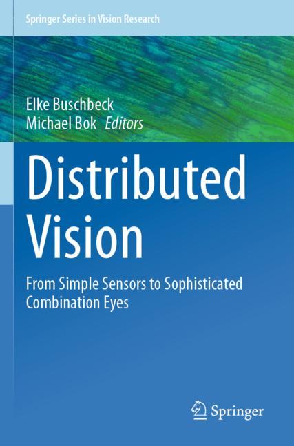 Distributed Vision