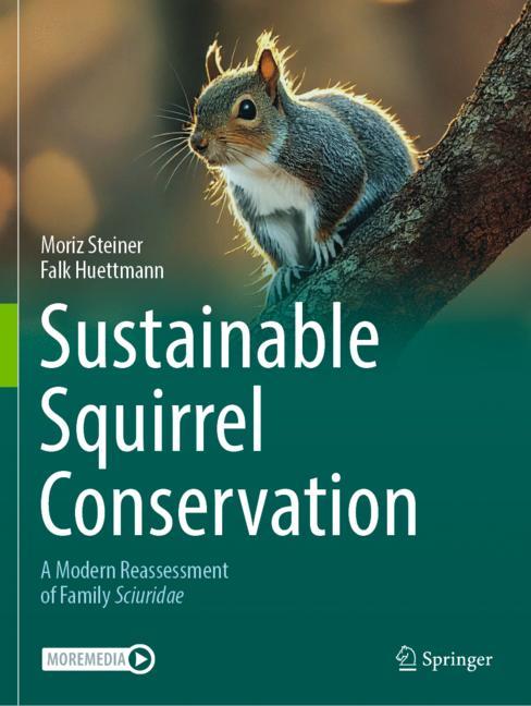 Sustainable Squirre… - image