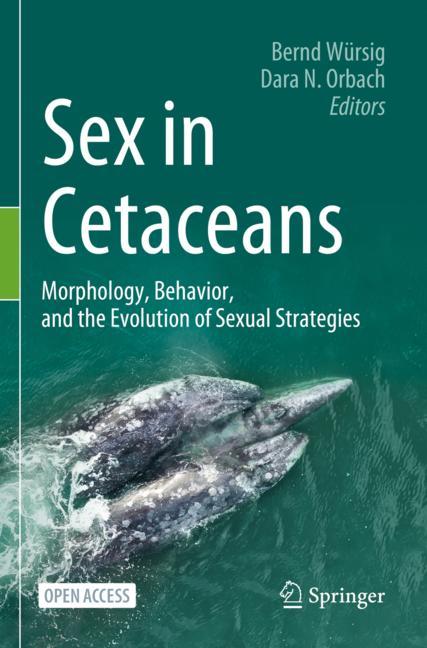 Sex In Cetaceans