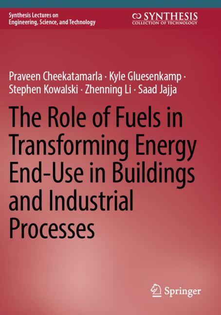 The Role Of Fuels I…