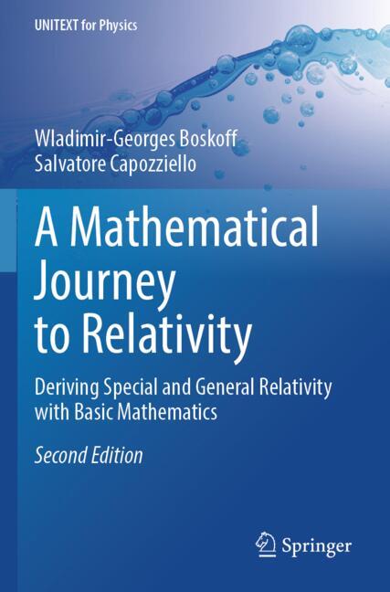 Springer International Publishing A Mathematical Journey To Relativity