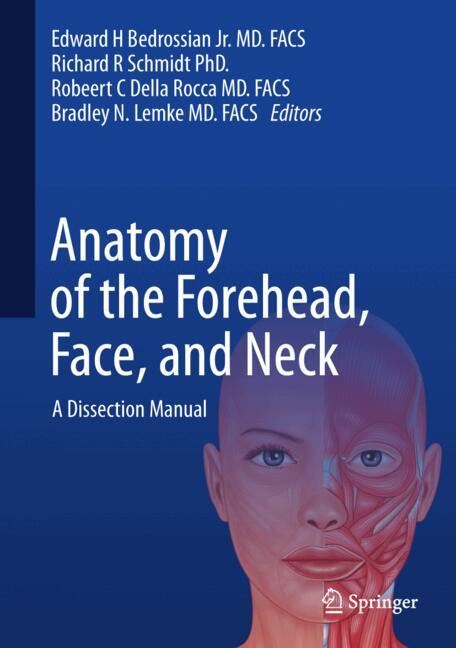 Anatomy Of The Fore… - image
