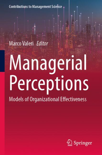 Managerial Perceptions