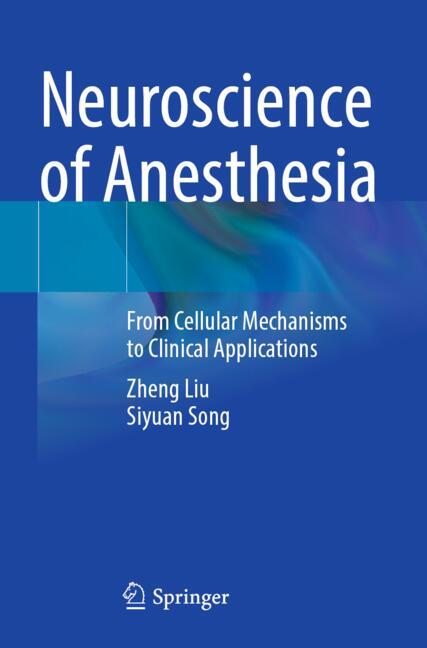 ISBN 9783031851582