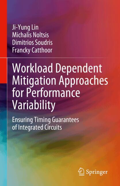 Workload Dependent Mitigation Approaches for Performance Variability