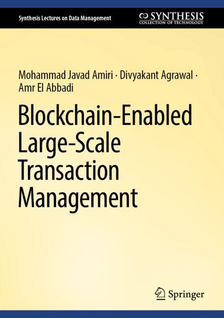 ISBN 9783031910579 product image for Blockchain-Enabled Large-Scale Transaction Management | upcitemdb.com