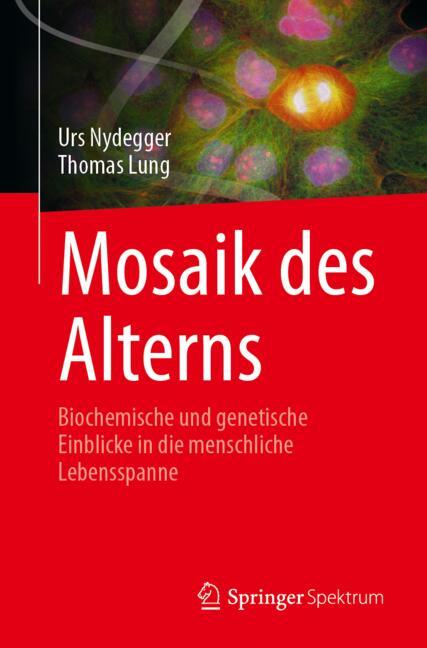 Mosaik Des Alterns
