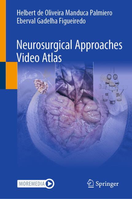 Neurosurgical Appro…