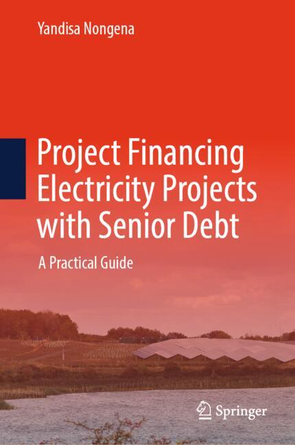 Springer Project Financing Electricity Projects With Senior Debt - Image 6