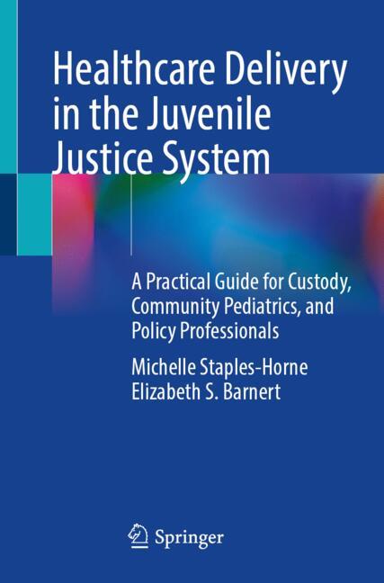 ISBN 9783032350282 product image for Healthcare Delivery in the Juvenile Justice System | upcitemdb.com