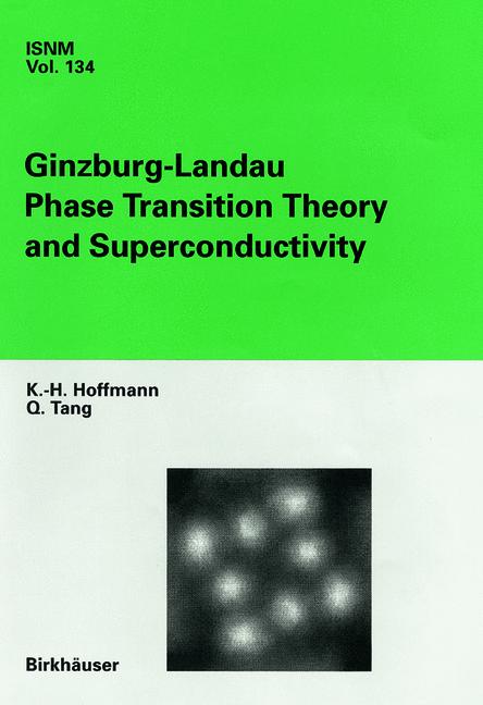 Ginzburg-Landau Pha… - image
