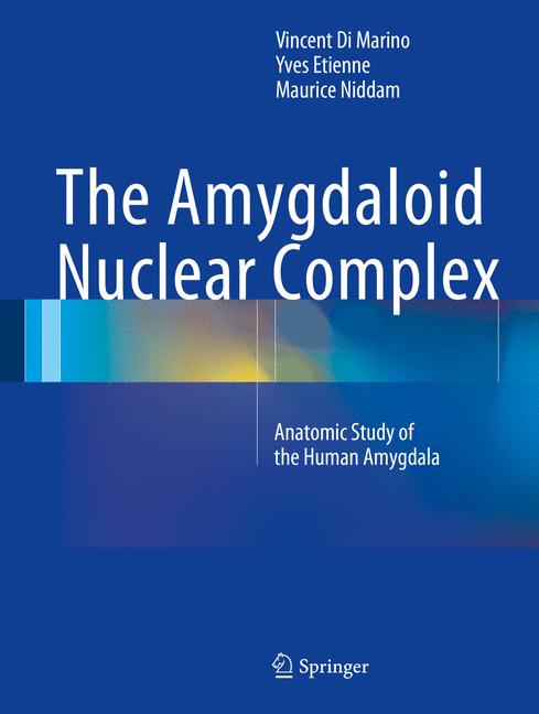 Amygdaloid Nuclear Complex : Anatomic Study of the Human Amygdala