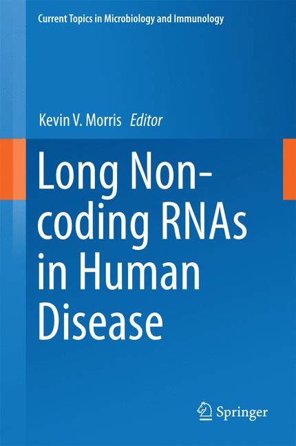 Long Non-Coding Rna… - image