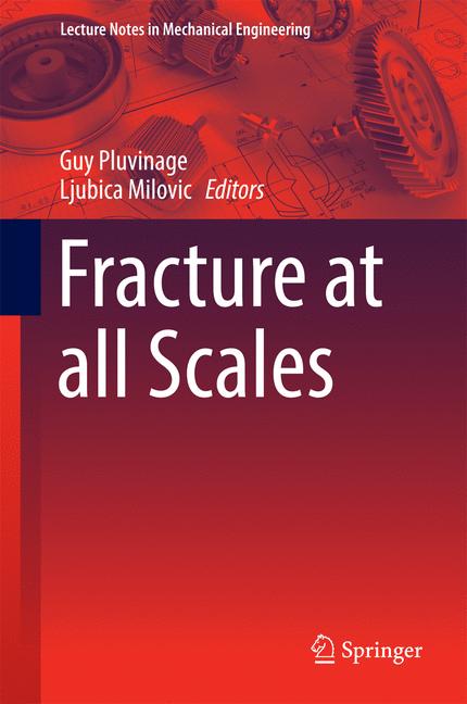 Fracture At All Sca… - image